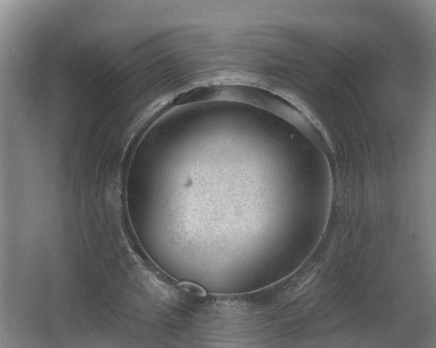 X0000062610437200512230924