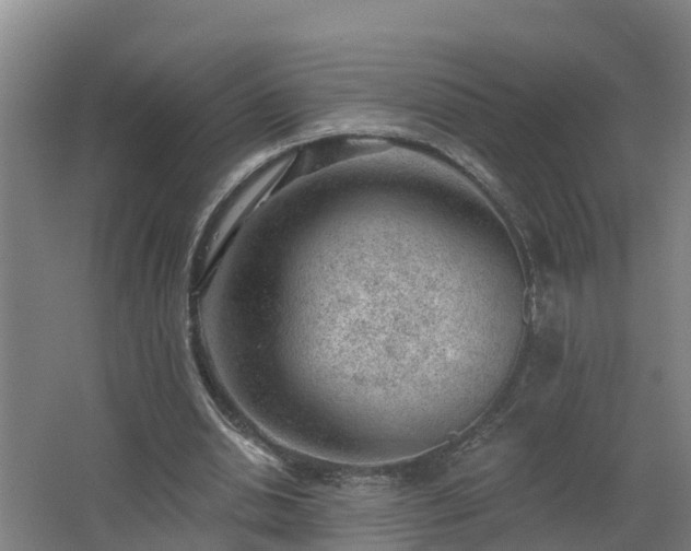 X0000062610438200512230924