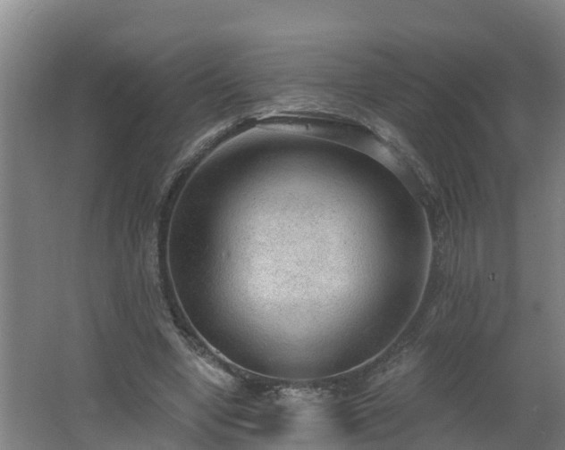 X0000062610442200512230924