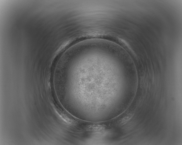 X0000062610443200512230924