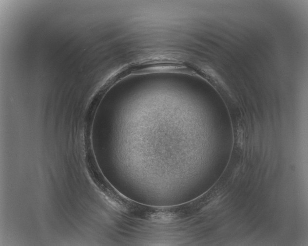 X0000062610444200512230924