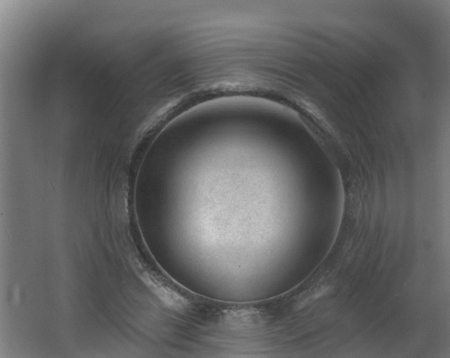 X0000062610446200512230924