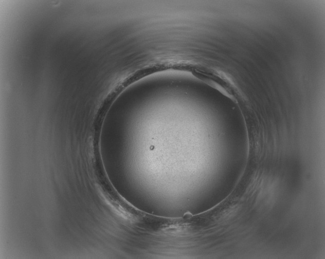 X0000062610447200512230924