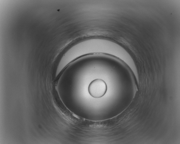 X0000062610448200512230924