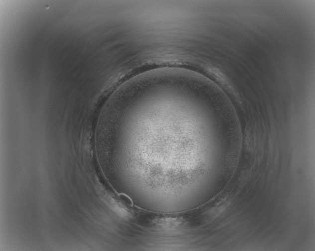 X0000062610449200512230924