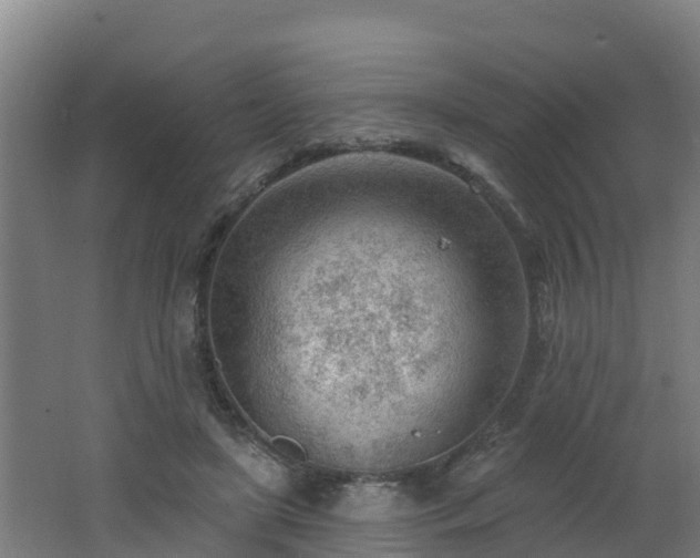 X0000062610451200512230924