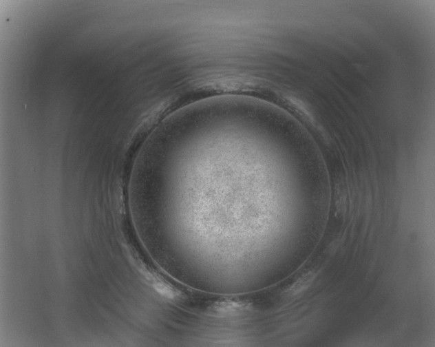 X0000062610453200512230924