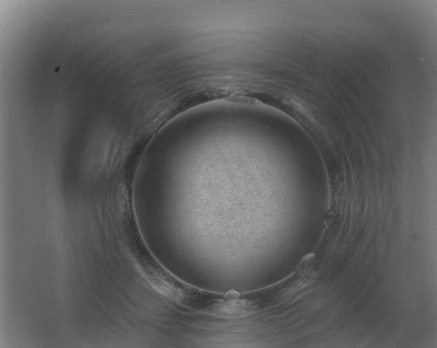 X0000062610459200512230924