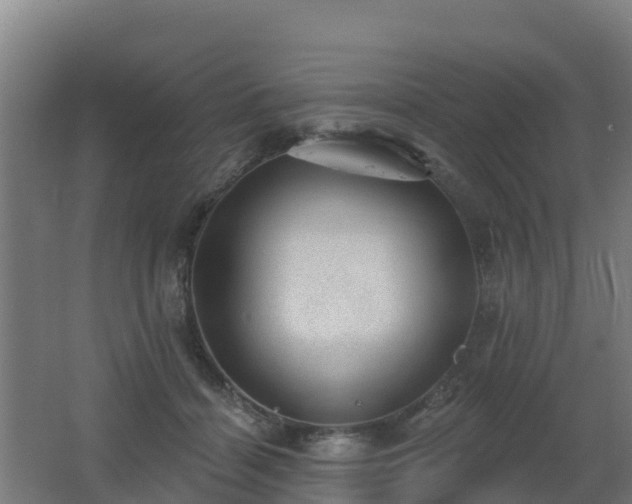 X0000062610460200512230924