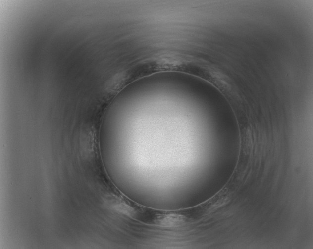 X0000062610463200512230924