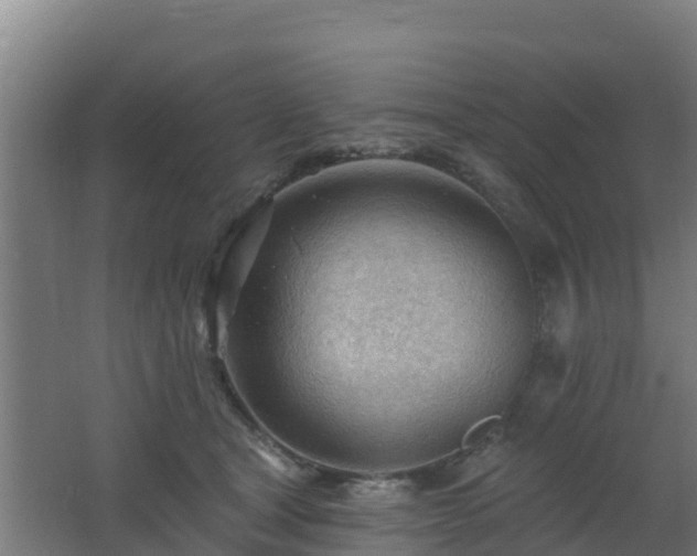 X0000062610465200512230924