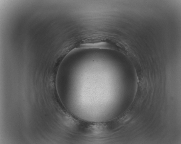 X0000062610466200512230924