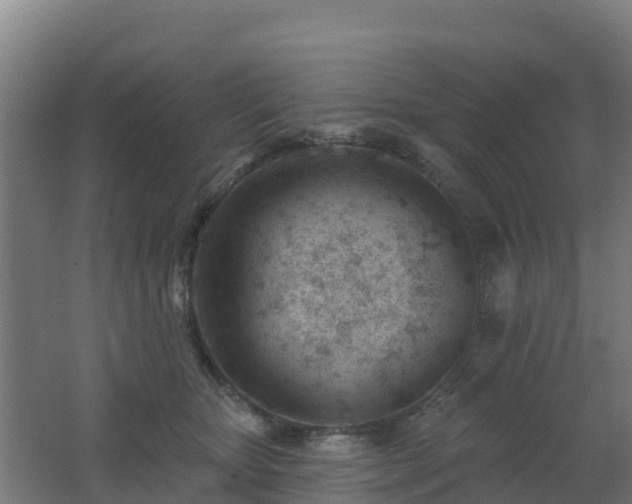 X0000062610467200512230924