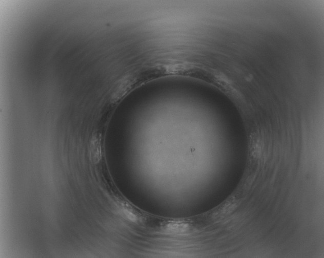 X0000062610471200512230924