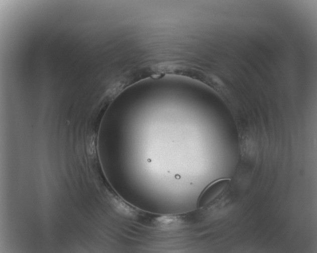 X0000062610477200512230925