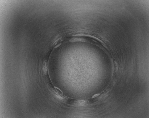 X0000062610479200512230925