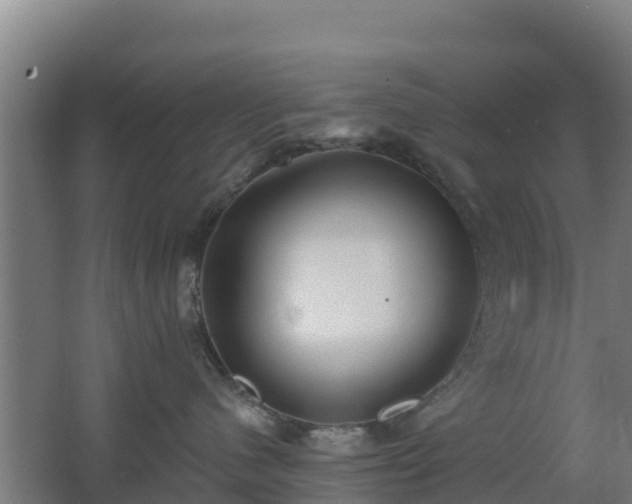 X0000062610480200512230925