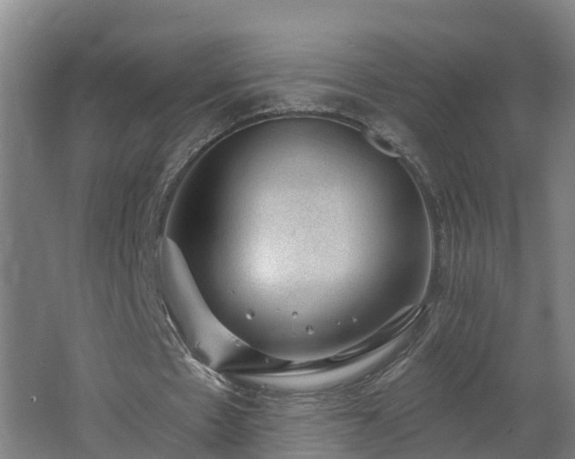 X0000062610481200512230924