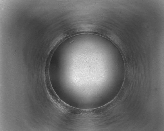 X0000062610482200512230924