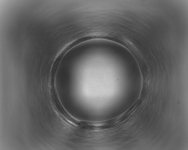 X0000062610484200512230924