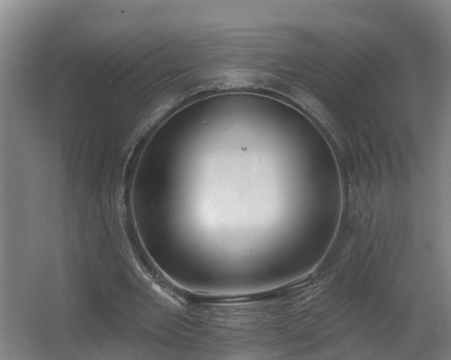 X0000062610485200512230924