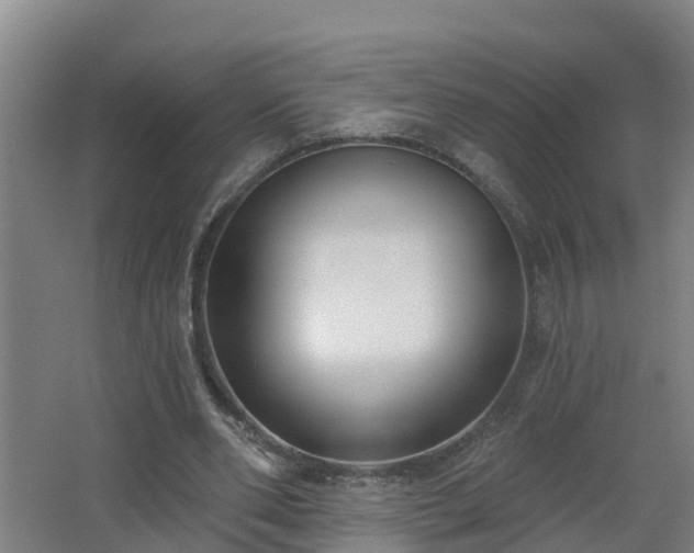 X0000062610486200512230924