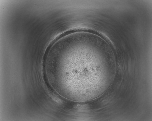 X0000062610487200512230924