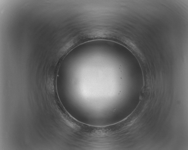 X0000062610489200512230924