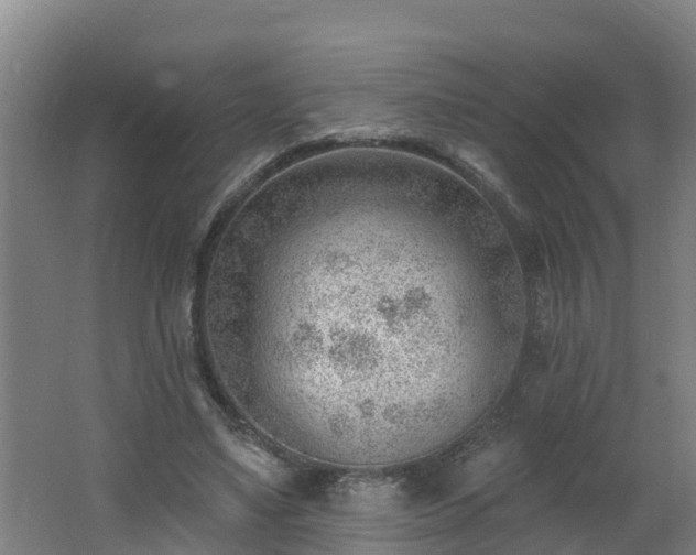 X0000062610491200512230924