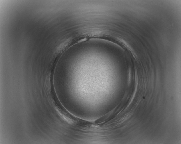 X0000062610493200512230924