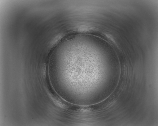 X0000062610495200512230924