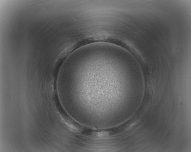 X0000062610501200512230923