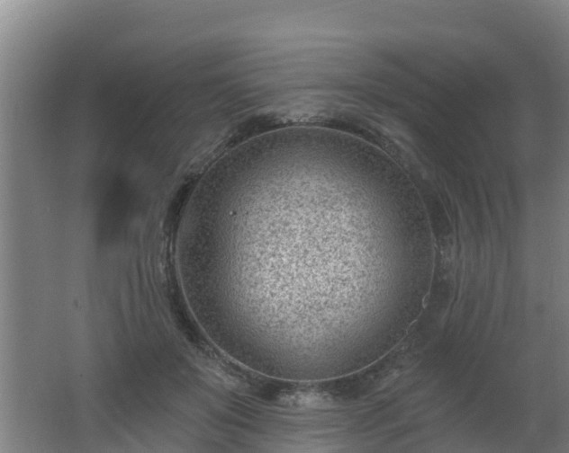 X0000062610503200512230923