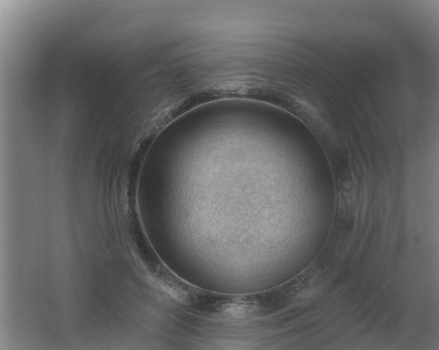 X0000062610504200512230923