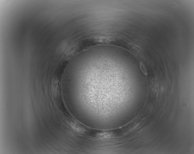 X0000062610511200512230923