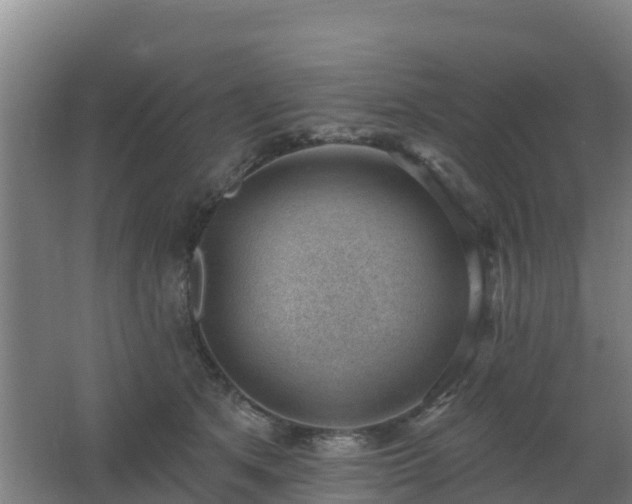 X0000062610513200512230923