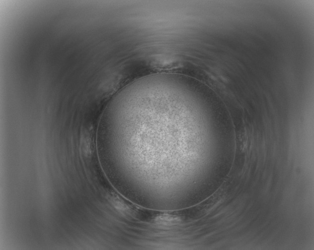 X0000062610515200512230923