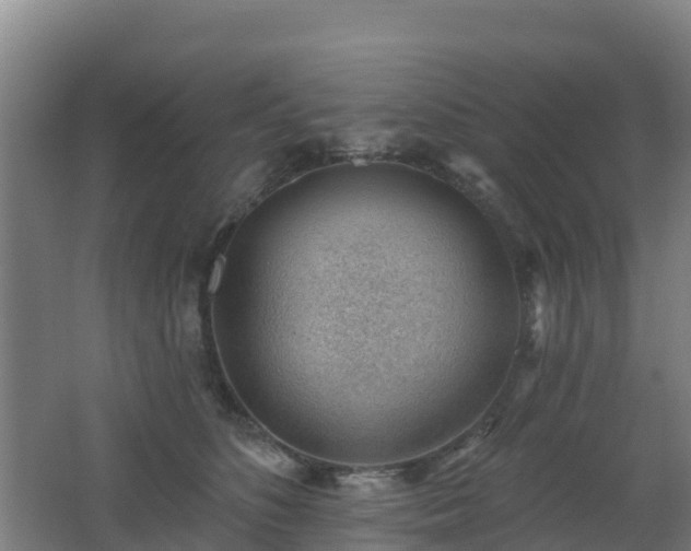 X0000062610516200512230923