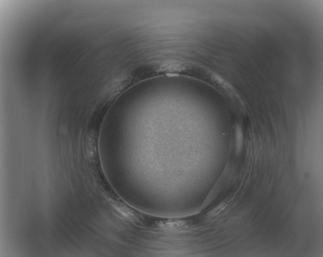 X0000062610517200512230923