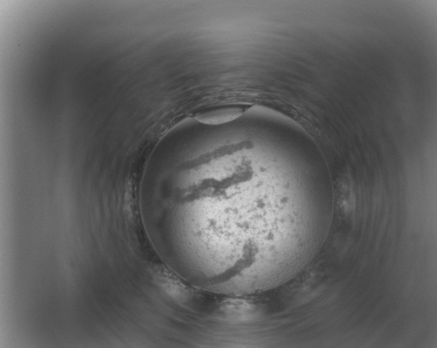 X0000062610519200512230923