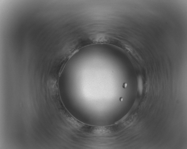 X0000062610521200512230923