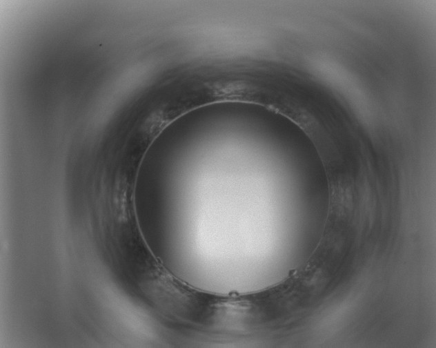 X0000062610525200512230923