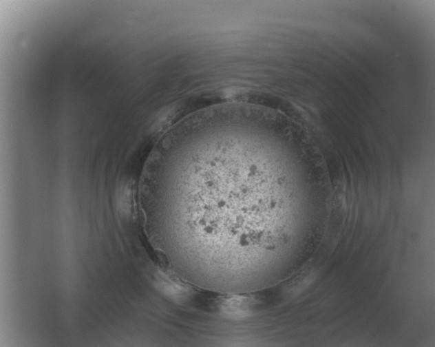 X0000062610527200512230923