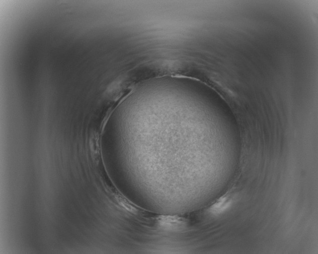 X0000062610528200512230923