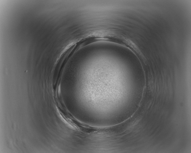 X0000062610530200512230922