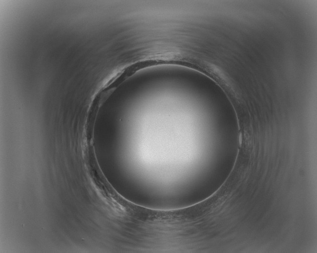 X0000062610532200512230922