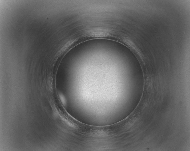 X0000062610533200512230922