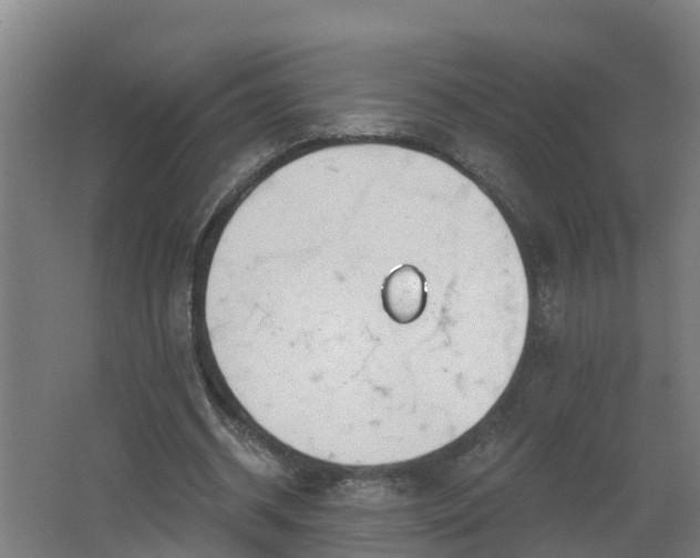 X0000062610534200512230922