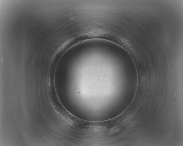 X0000062610539200512230922