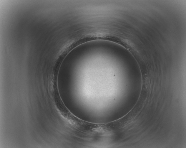 X0000062610544200512230922